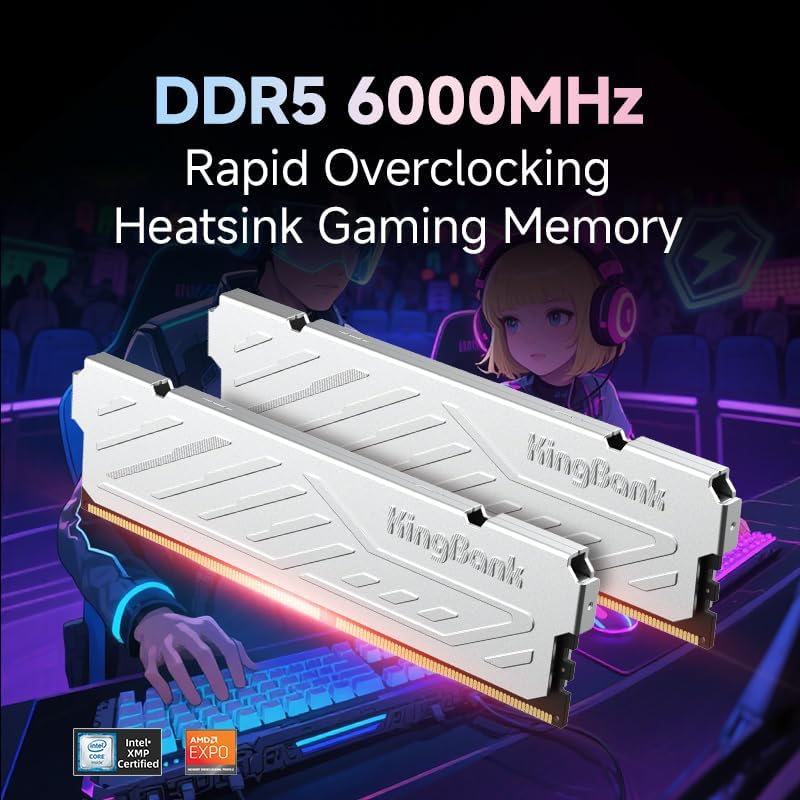 킹뱅크 KJXS DDR5 RAM 8GB/16GB 키트  - Ddr5 16Gb 6000Mhz 리뷰 및 가격