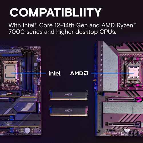 32GB DDR5 6000MHz RAM 키트, 16GB - Ddr5 6000Mhz 리뷰 및 가격