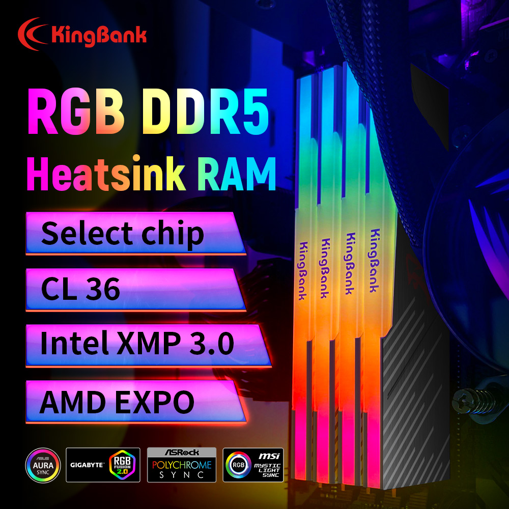 KingBank KRRB DDR5 RGB 16GB /1 - Ddr5 16Gb 6000Mhz 리뷰 및 가격