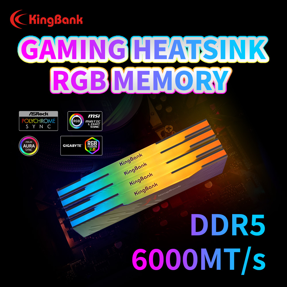 KingBank KRRB DDR5 RGB 16GB /1 - Ddr5 16Gb 6000Mhz 리뷰 및 가격